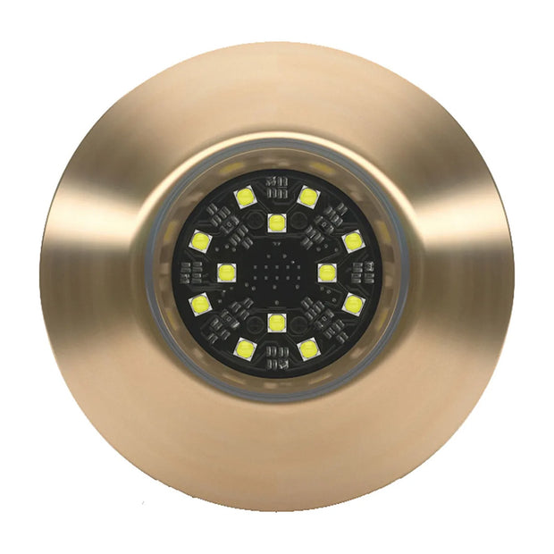 Lumishore ORA TIX404 White Interchangeable ThruHull 0100446700