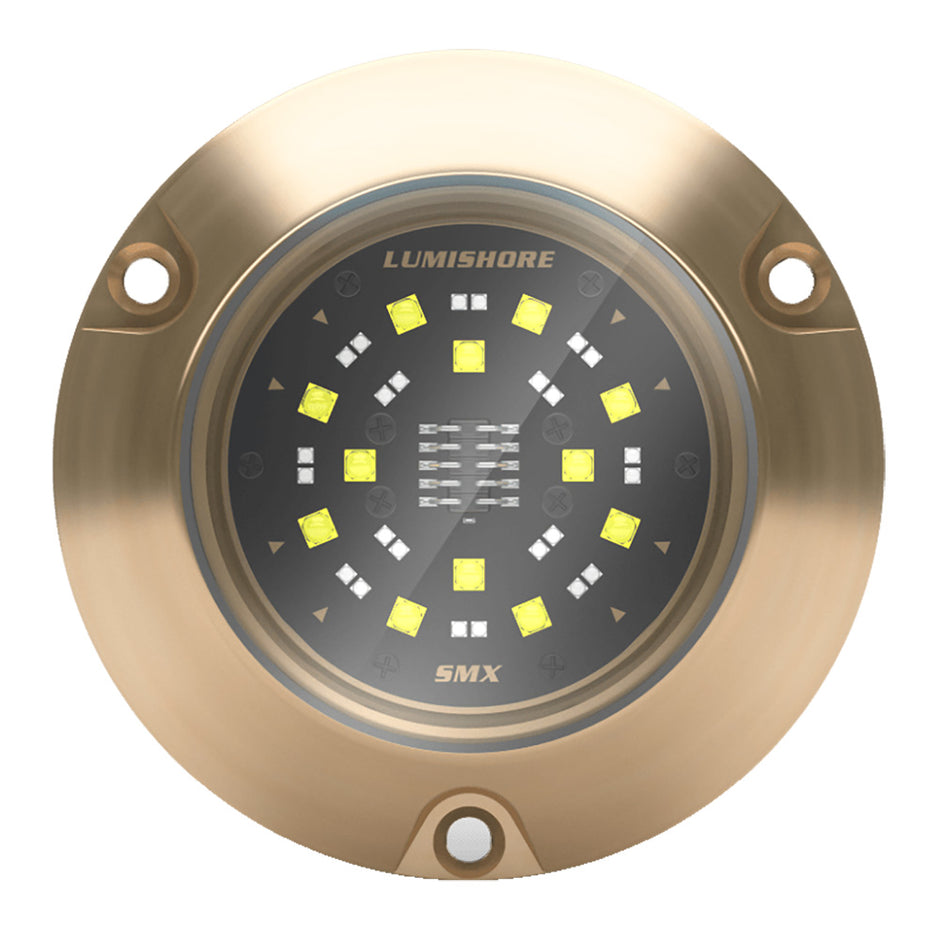 Lumishore ECLIPSE SMX54 Single Surface Mount Underwater  Light BlueWhite 0100450500
