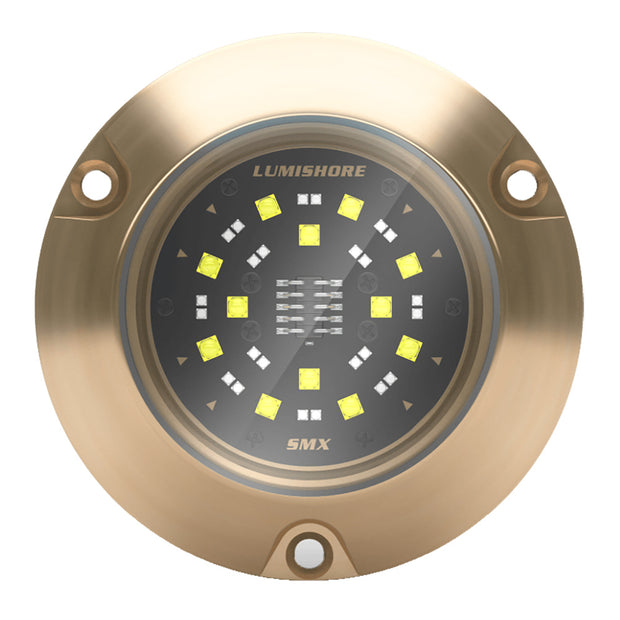 Lumishore ECLIPSE SMX54 Single Surface Mount Underwater  Light BlueWhite 0100450500