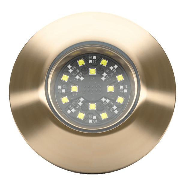 Lumishore SUPRA THX404 ThruHull Light  Driver 0100451600