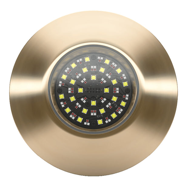 Lumishore EOS TIX804 Interchangeable ThruHull 0100453200