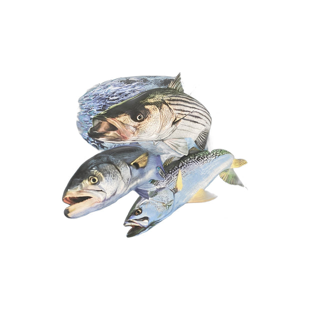 Bimini Bay Outfitters Ltd Hook Mens Long Sleeve Fishing Shirt