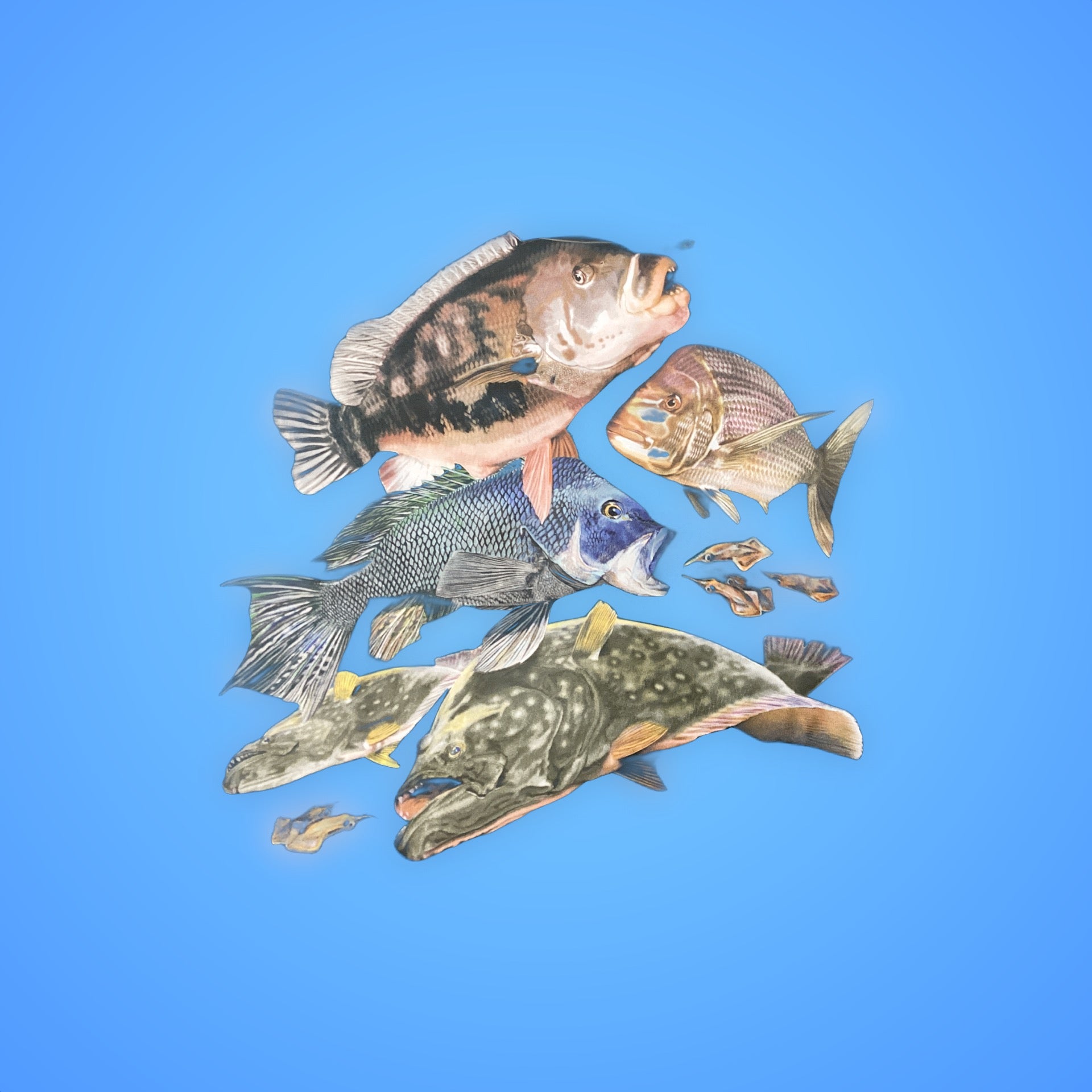 Bimini Bay UPF 50 long sleeve shirt